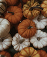 Pilates & Pumpkin Lattes: KIJN x The Flow Club