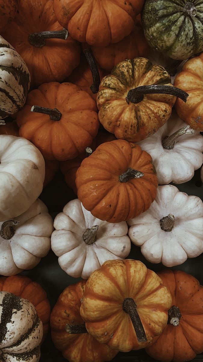 Pilates & Pumpkin Lattes: KIJN x The Flow Club